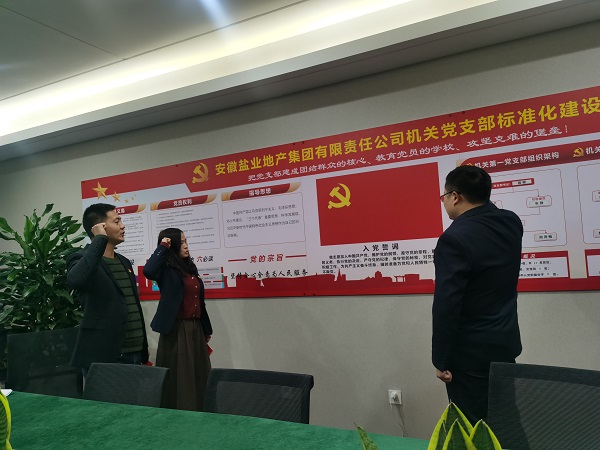 安徽鹽業(yè)地產(chǎn)集團(tuán)機(jī)關(guān)第一黨支部開(kāi)展“佩黨徽、誦誓詞、贈(zèng)黨章、上黨課”黨員教育活動(dòng)